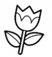 /album/flora/flor-2-jpg1/